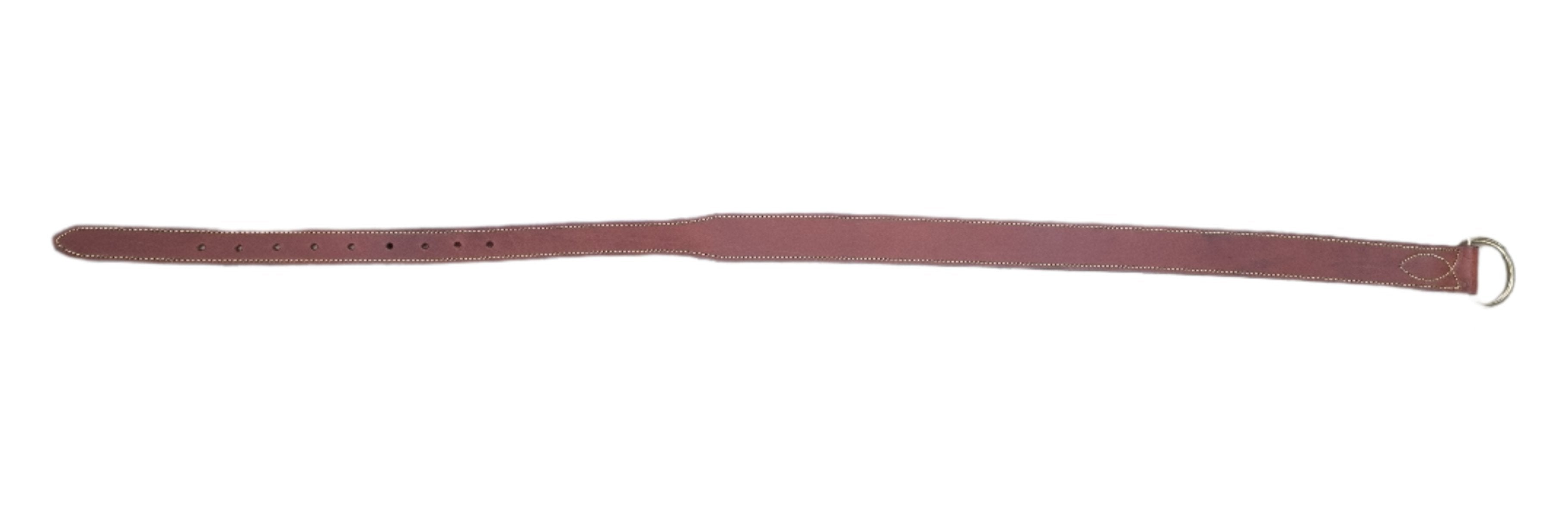 Surcingle Stockman Solo